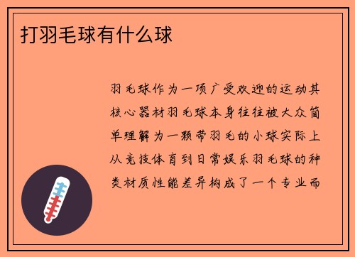 打羽毛球有什么球
